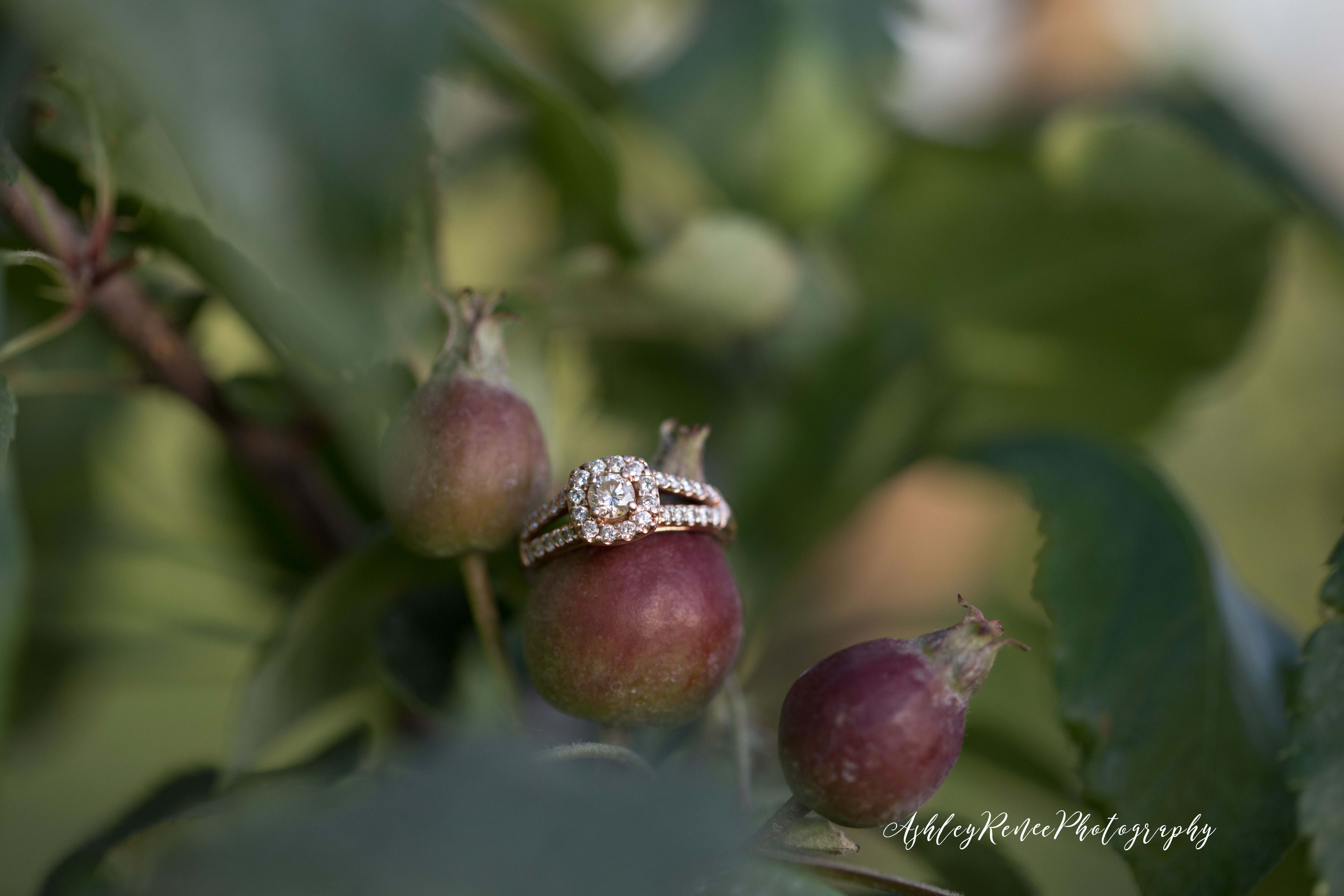 Wea Creek Orchard Engagementsession Ashley Renee Photography ring shot